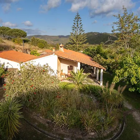 One-of-a-kind Seminar House Hébergement de vacances *