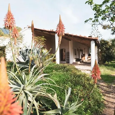 One-of-a-kind Seminar House Hébergement de vacances *