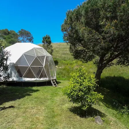 One-of-a-kind Seminar House
